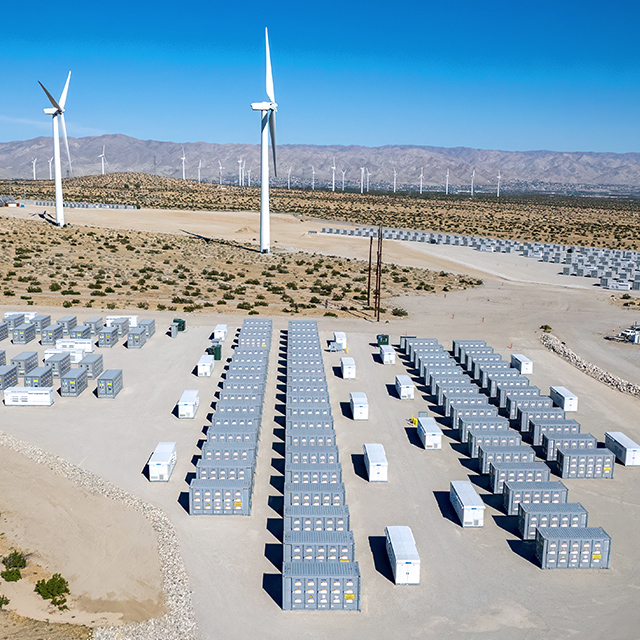 Custodia per l'immagazzinamento dell'energia della rete